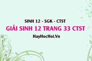 Giải Sinh 12 trang 33 Chân trời sáng tạo SGK